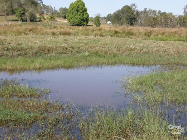 Address Withheld, Tucki Tucki, NSW, 2480, Tucki Tucki - Thumbnail 4