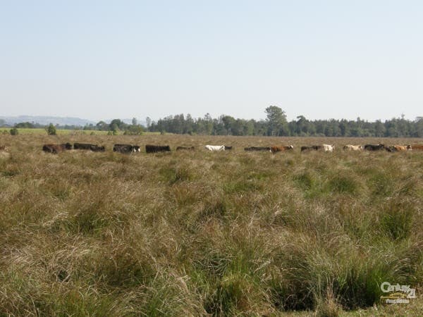Address Withheld, Tucki Tucki, NSW, 2480, Tucki Tucki - Thumbnail 5