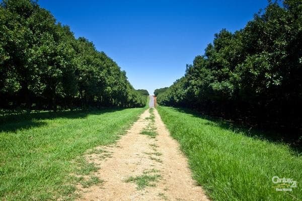 Address Withheld, Bangalow, NSW, 2479, Bangalow - Thumbnail 2