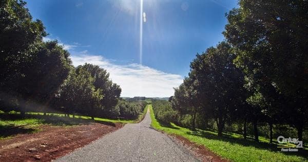 Address Withheld, Bangalow, NSW, 2479, Bangalow - Thumbnail 4