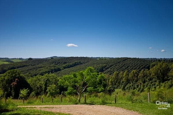 Address Withheld, Bangalow, NSW, 2479, Bangalow - Thumbnail 5