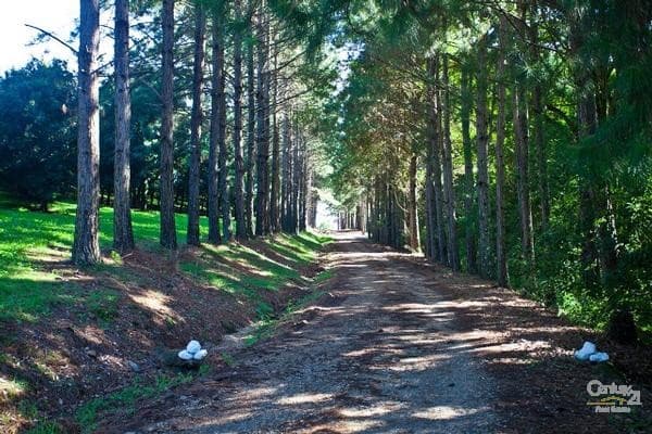 Address Withheld, Bangalow, NSW, 2479, Bangalow - Thumbnail 6