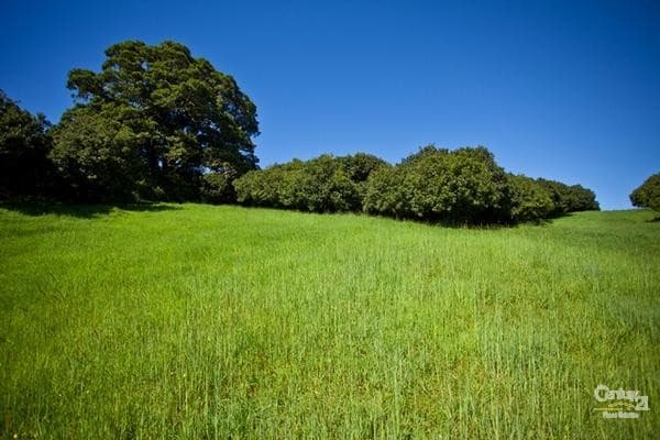 Address Withheld, Bangalow, NSW, 2479, Bangalow - Thumbnail 8