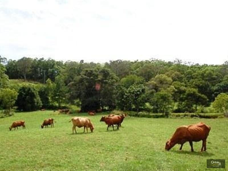 262a Sunrise Road, Doonan, QLD, 4562, Doonan - Thumbnail 2