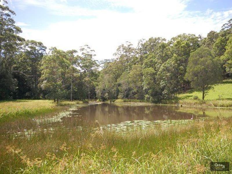 262a Sunrise Road, Doonan, QLD, 4562, Doonan - Thumbnail 4