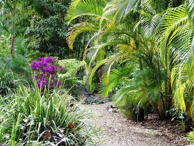 Address Withheld, Doonan, QLD, 4562, Doonan - Thumbnail 6
