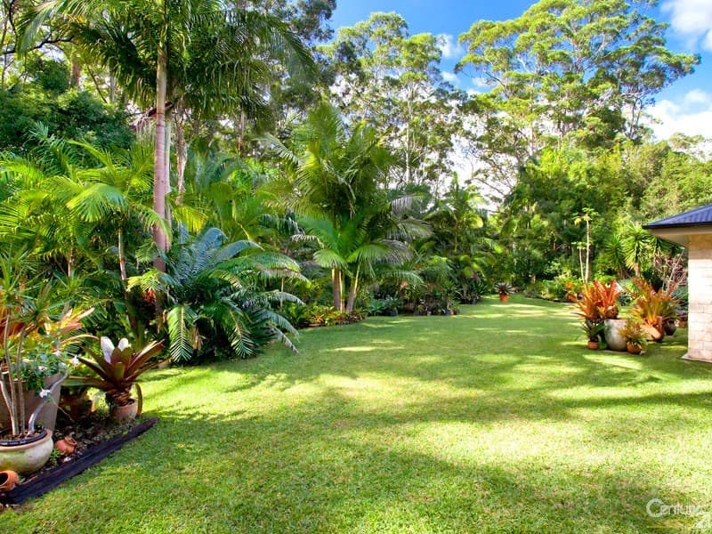 6/18 Lanyana Way, Noosa Heads, QLD, 4567, Doonan - Thumbnail 4