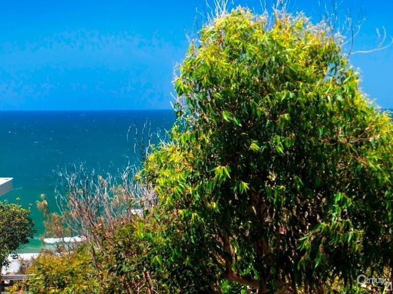6/18 Lanyana Way, Noosa Heads, QLD, 4567, Sunshine Beach - Thumbnail 4