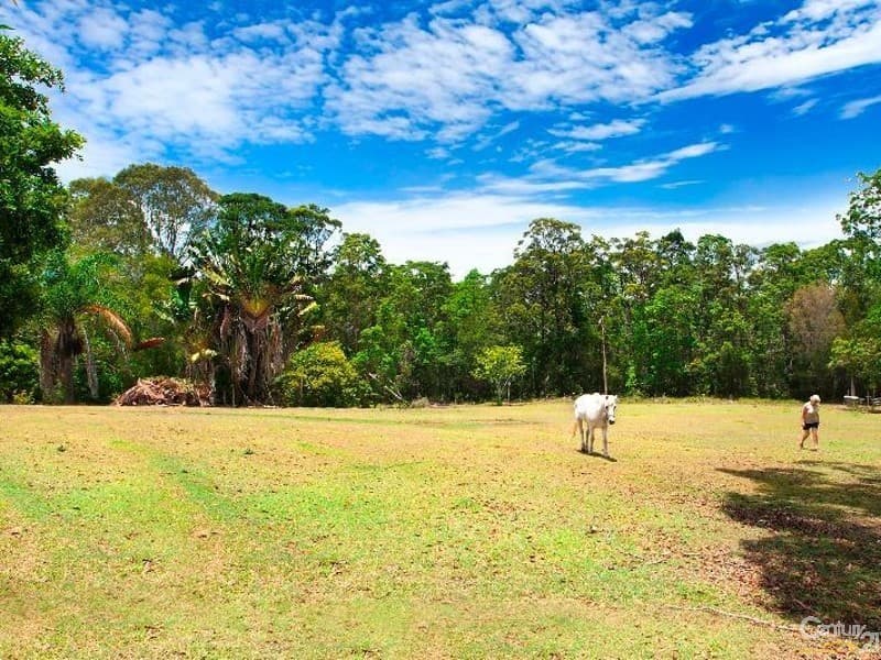 53 Coveys Road, Tinbeerwah, QLD, 4563, Tinbeerwah - Thumbnail 7