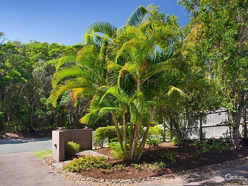 1/21 Parkedge, Sunshine Beach, QLD, 4567, Sunshine Beach - Thumbnail 4