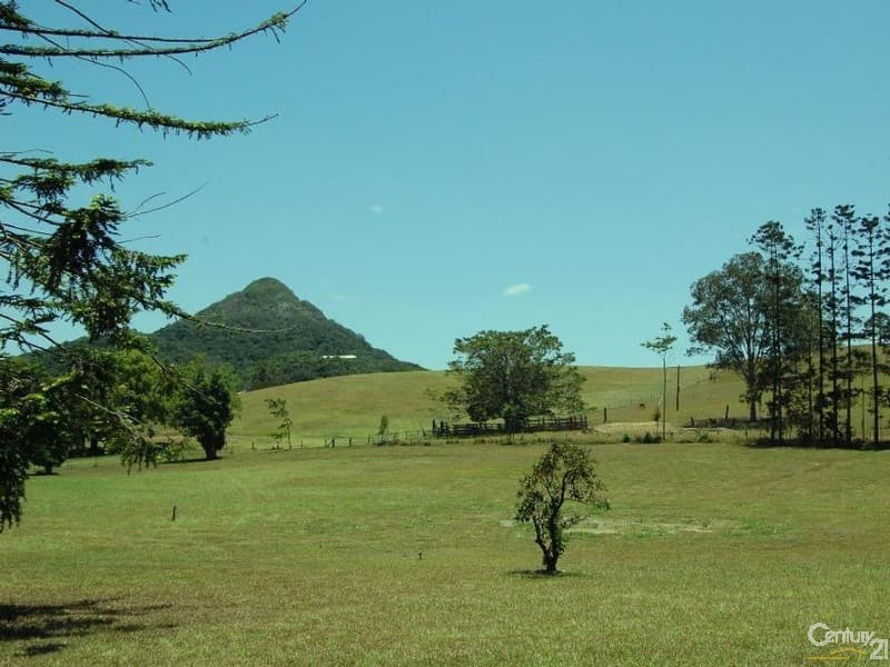 6/18 Lanyana Way, Noosa Heads, QLD, 4567, Eumundi - Thumbnail 4