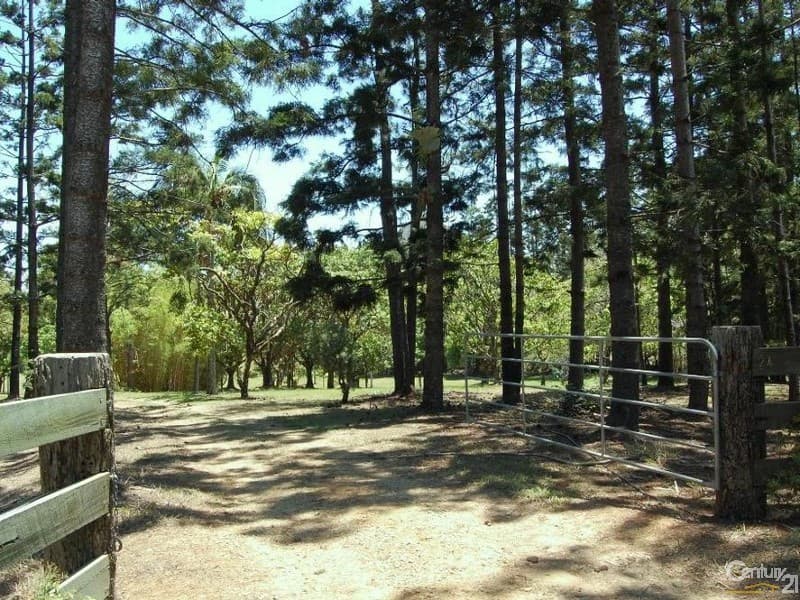 6/18 Lanyana Way, Noosa Heads, QLD, 4567, Eumundi - Thumbnail 5