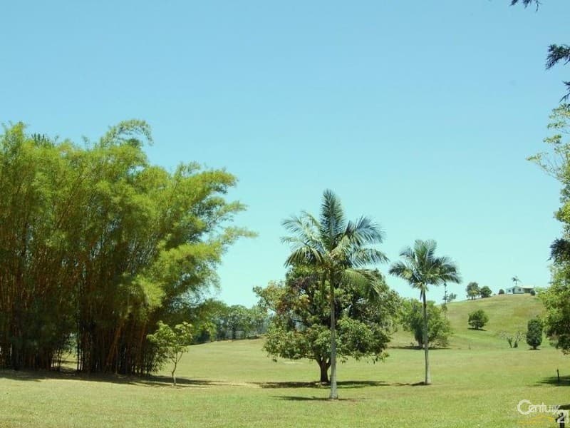 6/18 Lanyana Way, Noosa Heads, QLD, 4567, Eumundi - Thumbnail 6