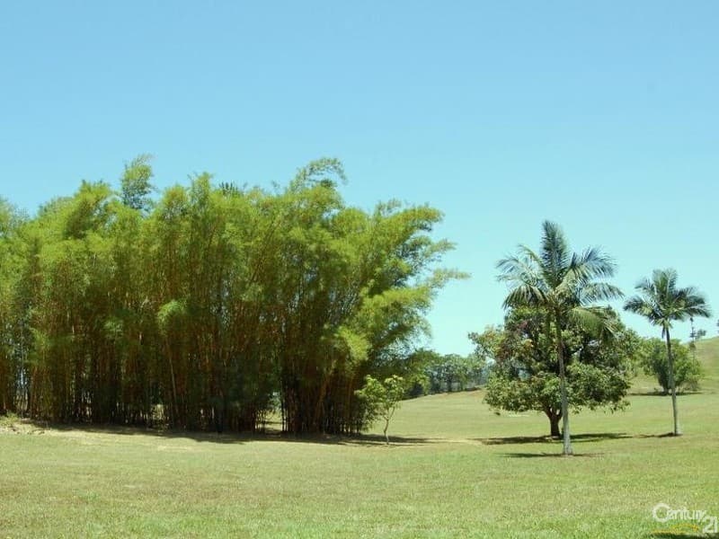 6/18 Lanyana Way, Noosa Heads, QLD, 4567, Eumundi - Thumbnail 7