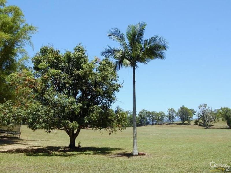 6/18 Lanyana Way, Noosa Heads, QLD, 4567, Eumundi - Thumbnail 8