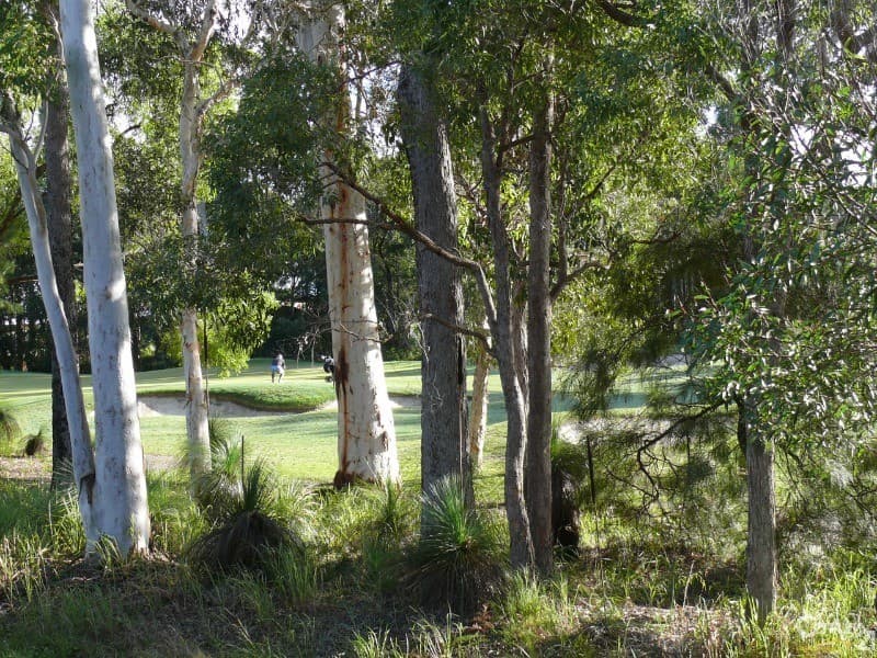 6/18 Lanyana Way, Noosa Heads, QLD, 4567, Peregian Springs - Thumbnail 3
