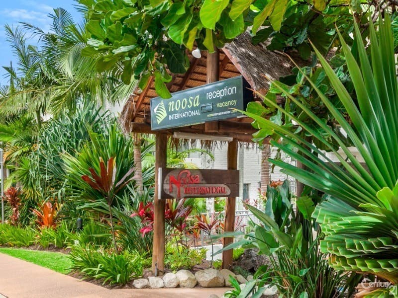 129/1 Edgar Bennett Avenue, Noosa Heads, QLD, 4567, Noosa Heads - Thumbnail 8