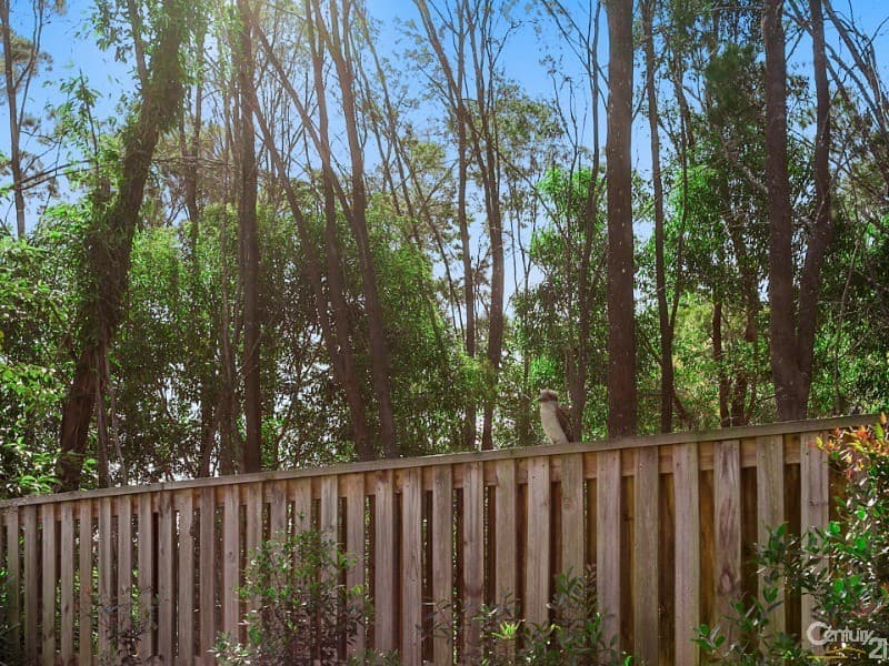 128/14-16 Toral Drive, Buderim, QLD, 4556, Buderim - Thumbnail 6