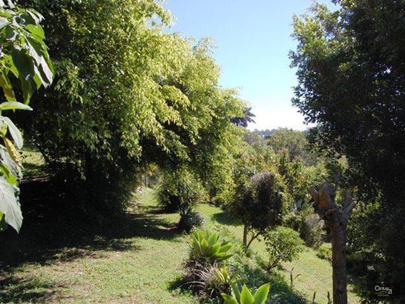 6/18 Lanyana Way, Noosa Heads, QLD, 4567, Doonan - Thumbnail 8