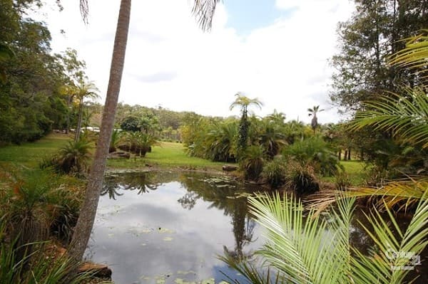 170 Wust Road, Doonan, QLD, 4562, Doonan - Image 1