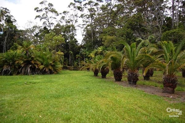 170 Wust Road, Doonan, QLD, 4562, Doonan - Thumbnail 2