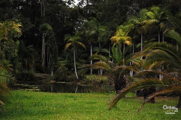 170 Wust Road, Doonan, QLD, 4562, Doonan - Thumbnail 6
