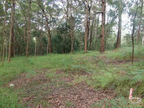 46 Stewart Court, Doonan, QLD, 4562, Doonan - Thumbnail 2
