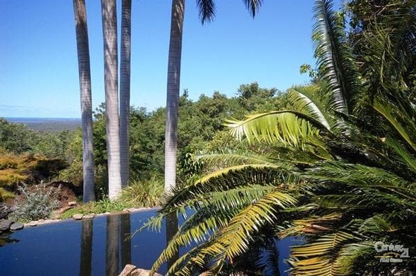 6/18 Lanyana Way, Noosa Heads, QLD, 4567, Doonan - Thumbnail 4