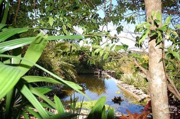 6/18 Lanyana Way, Noosa Heads, QLD, 4567, Doonan - Thumbnail 8