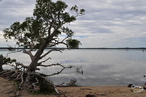 6/18 Lanyana Way, Noosa Heads, QLD, 4567, Weyba Downs - Thumbnail 6
