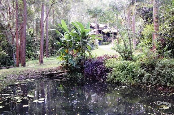 6/18 Lanyana Way, Noosa Heads, QLD, 4567, Doonan - Thumbnail 3
