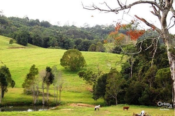6/18 Lanyana Way, Noosa Heads, QLD, 4567, Eerwah Vale - Thumbnail 2