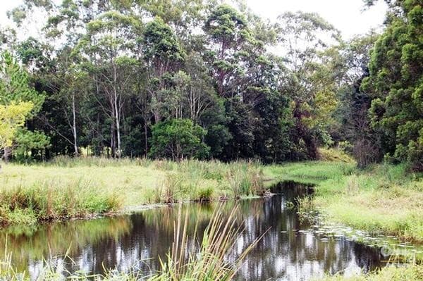 6/18 Lanyana Way, Noosa Heads, QLD, 4567, Eerwah Vale - Thumbnail 3