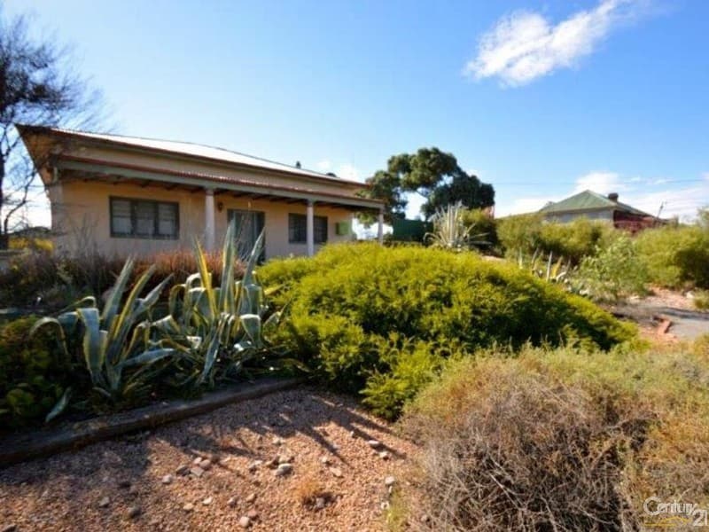55 Bosanquet Avenue, Prospect, SA, 5082, Prospect - Image 1