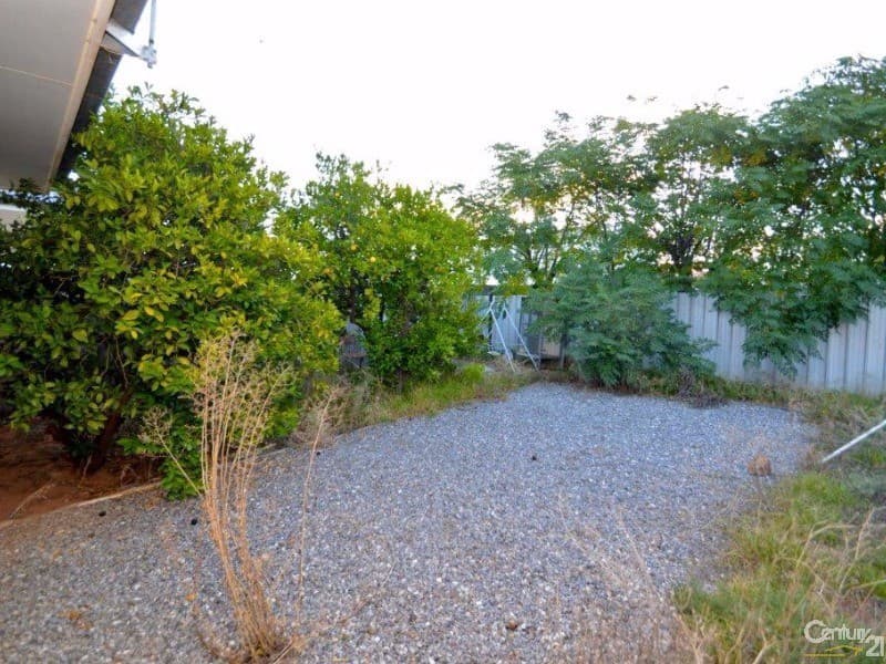 56 Wilson Street, Broken Hill, NSW, 2880, Broken Hill - Thumbnail 8