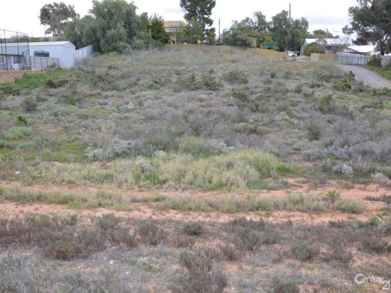 328 Wyman Street, Broken Hill, NSW, 2880, Broken Hill - Thumbnail 3