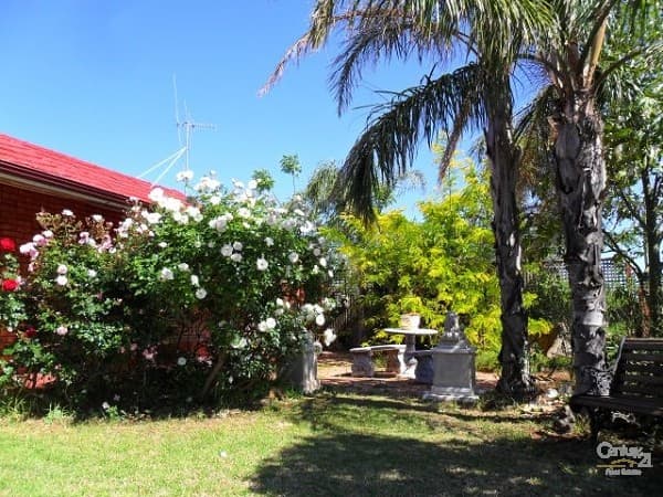 280 Knox Street, Broken Hill, NSW, 2880, Broken Hill - Thumbnail 3