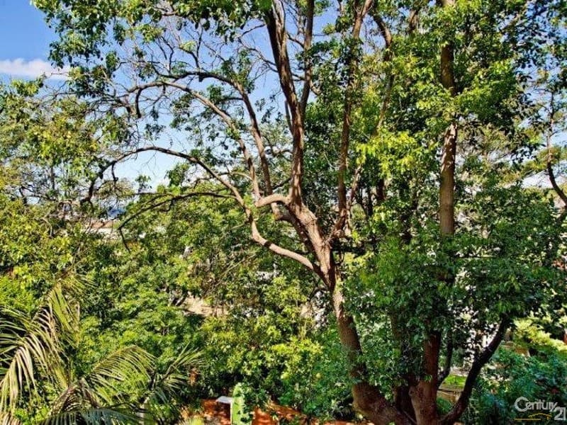 7/35 Birriga Road, Bellevue Hill, NSW, 2023, Bellevue Hill - Thumbnail 6