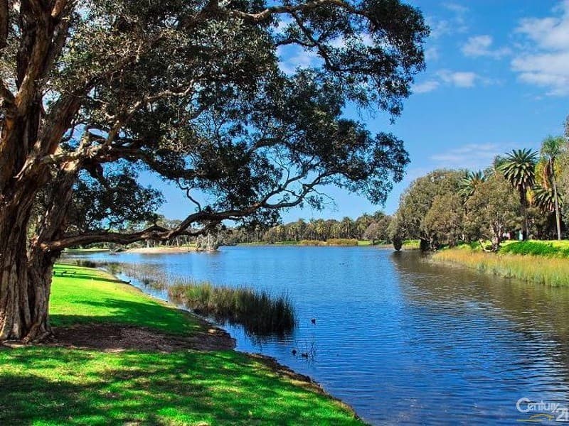 42/49-51 Cook Road, Centennial Park, NSW, 2021, Centennial Park - Thumbnail 6