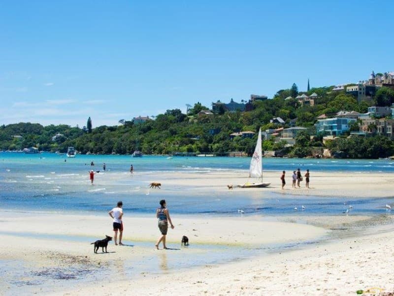 1/87 O'Sullivan Road, Rose Bay, NSW, 2029, Rose Bay - Thumbnail 7