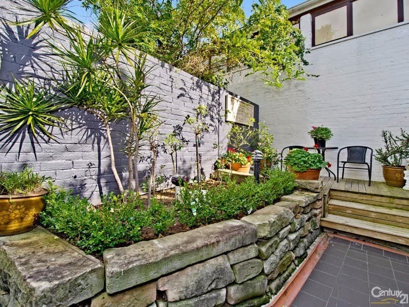 16 Elfred Street, Paddington, NSW, 2021, Paddington - Thumbnail 5