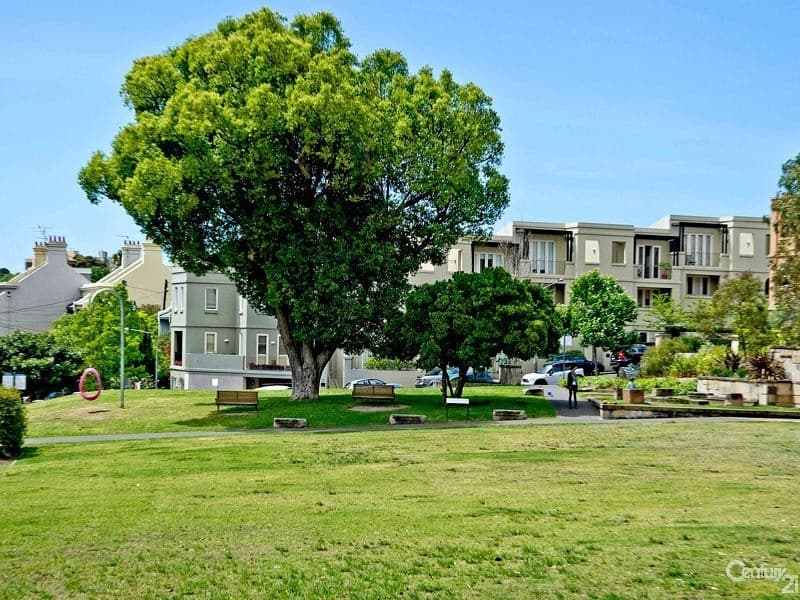 16 Elfred Street, Paddington, NSW, 2021, Paddington - Thumbnail 6