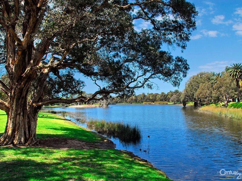 98/127-147 Cook Road, Centennial Park, NSW, 2021, Centennial Park - Thumbnail 8