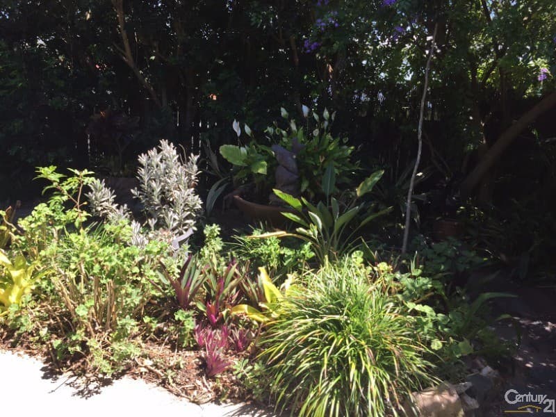 24A  Donkin Street, Scarborough, QLD, 4020, Scarborough - Thumbnail 4