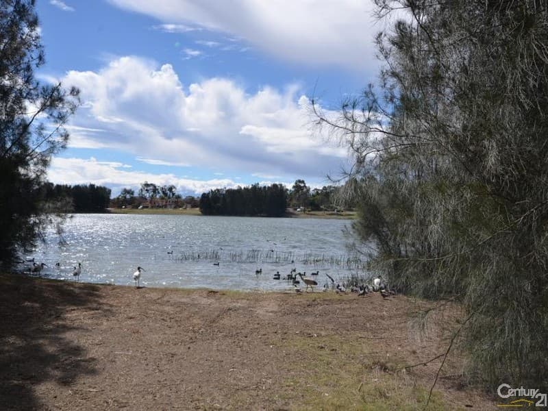 53 Lakewood Drive, Woodcroft, NSW, 2767, Woodcroft - Thumbnail 8