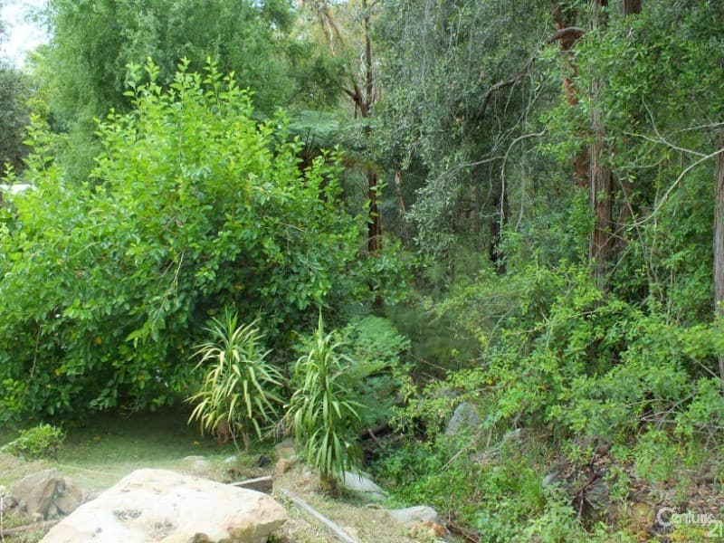 12 Chandler Avenue, Cowan, NSW, 2081, Cowan - Thumbnail 3