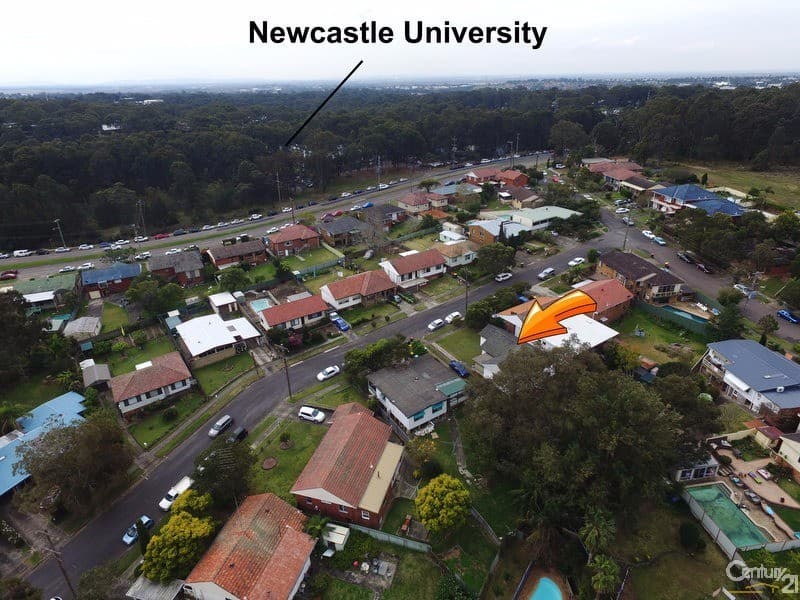 7 Lester Parade, North Lambton, NSW, 2299, North Lambton - Thumbnail 8