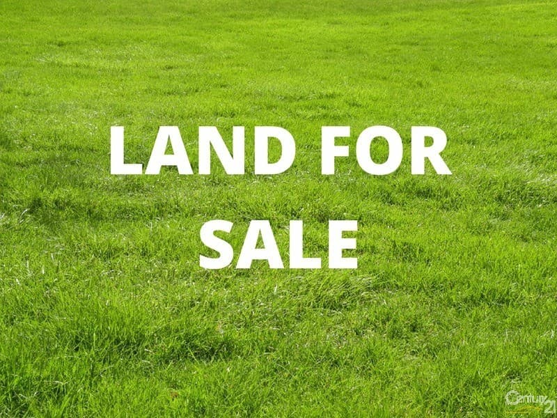34 Preston Place, Cameron Park, NSW, 2285, Cameron Park - Thumbnail 5