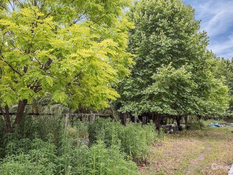 33 Cracknell Lane, Maitland, NSW, 2320, Maitland - Thumbnail 7