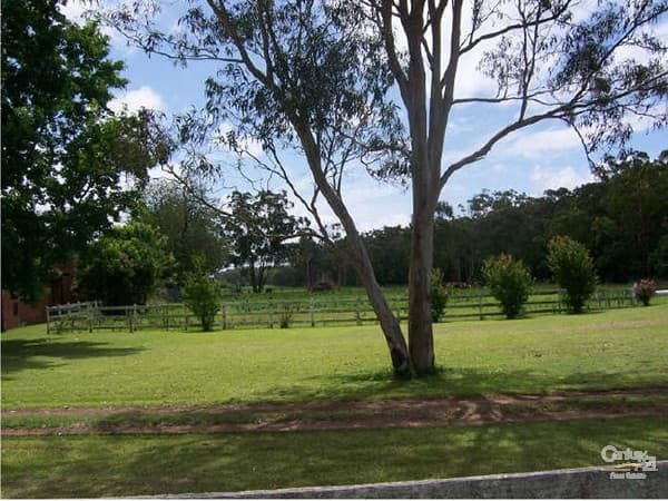 653 Medowie Road, Medowie, NSW, 2318, Medowie - Thumbnail 8